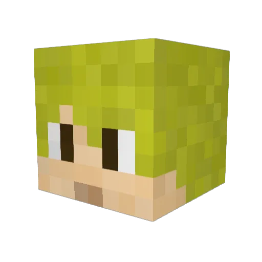 BlindFoldedMonky Minecraft avatar head, 3D render