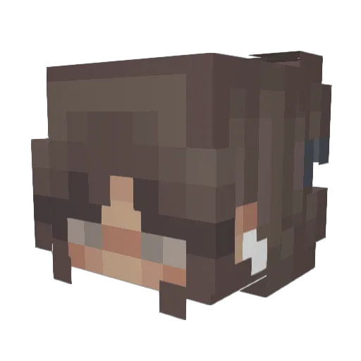 BlindKrtek Minecraft avatar head, 3D render