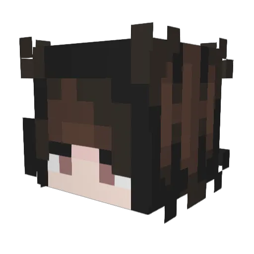 BlindNamula Minecraft avatar head, 3D render