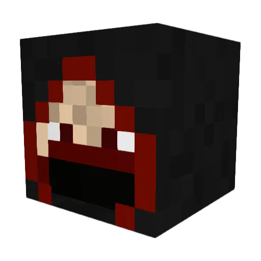 BlindRacoon Minecraft avatar head, 3D render