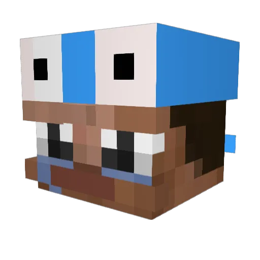 BlindSap Minecraft avatar head, 3D render