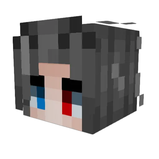 BlindToYourBS Minecraft avatar head, 3D render