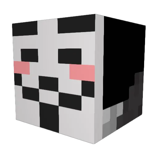 Blind_Player Minecraft avatar head, 3D render