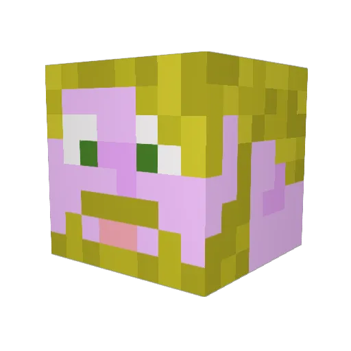 Blindfight Minecraft avatar head, 3D render
