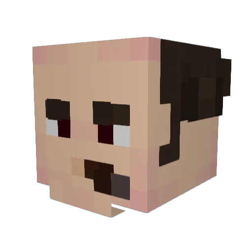 BlindingOmission Minecraft avatar head, 3D render