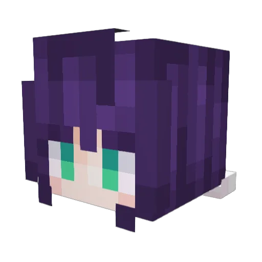 Blindsighted112 Minecraft avatar head, 3D render