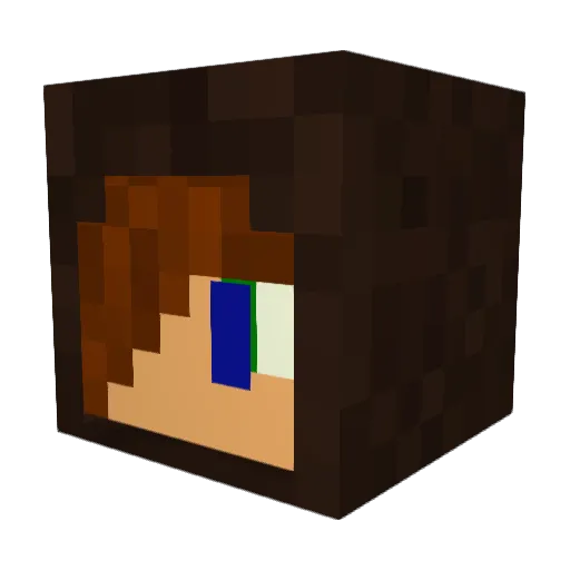 BlingBling17 Minecraft avatar head, 3D render