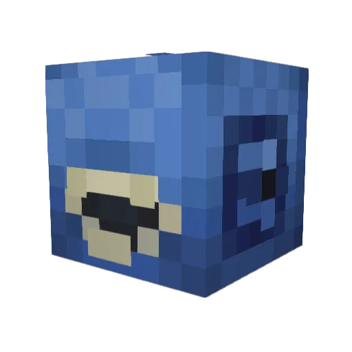Bling_A_DingFish Minecraft avatar head, 3D render