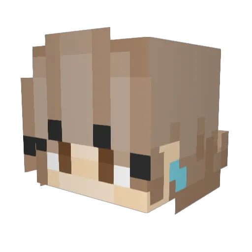 Blink2547 Minecraft avatar head, 3D render