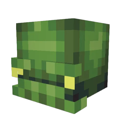 Blinkfoot Minecraft avatar head, 3D render