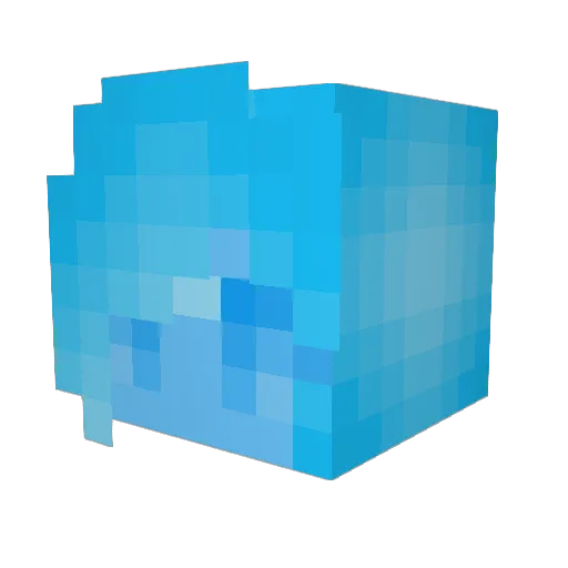 Blinkieu Minecraft avatar head, 3D render