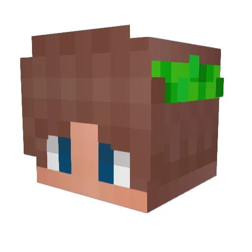 Blinx095 Minecraft avatar head, 3D render