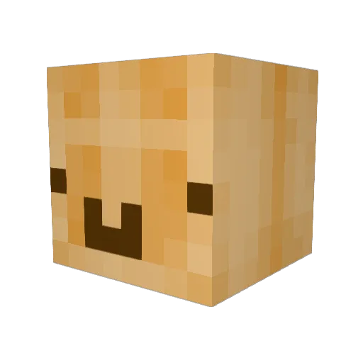 Blisom Minecraft avatar head, 3D render