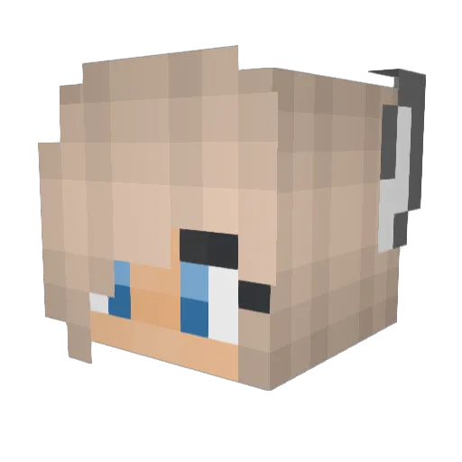 Bliss2015 Minecraft avatar head, 3D render