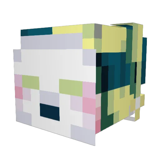 Blisseach Minecraft avatar head, 3D render