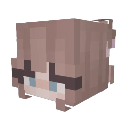 BlissyZara Minecraft avatar head, 3D render