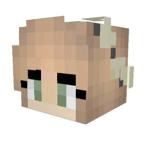 BlisteredGrinch Minecraft avatar head, 3D render