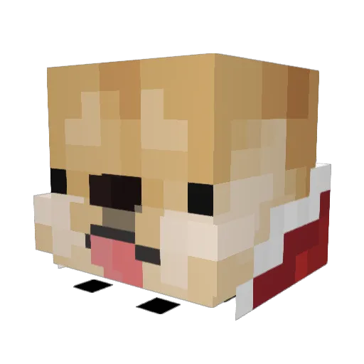 Blitz952 Minecraft avatar head, 3D render