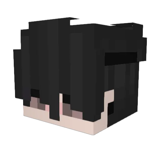 BlitzNauka Minecraft avatar head, 3D render