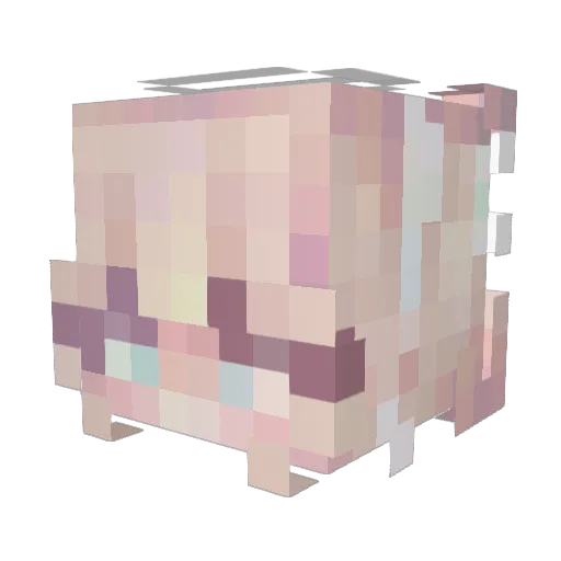 BlitzRules Minecraft avatar head, 3D render