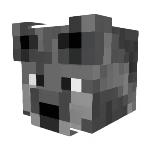 BlitzWolf1213 Minecraft avatar head, 3D render