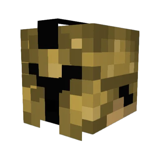 BlitzWolf44 Minecraft avatar head, 3D render