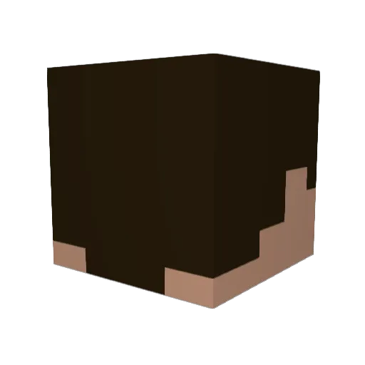 Blitz_Matt Minecraft avatar head, 3D render
