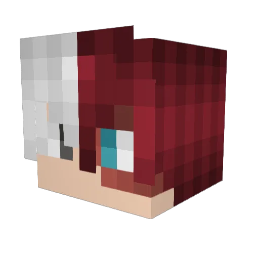 Blitz_Striker231 Minecraft avatar head, 3D render