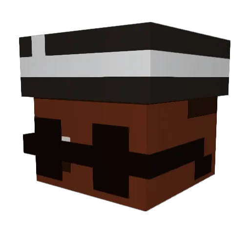BlitzeBarry Minecraft avatar head, 3D render