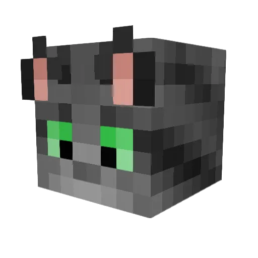 Blitzstern Minecraft avatar head, 3D render