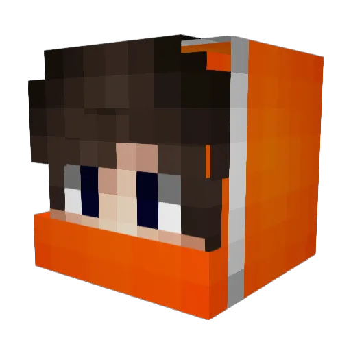 Blitzwolf1 Minecraft avatar head, 3D render