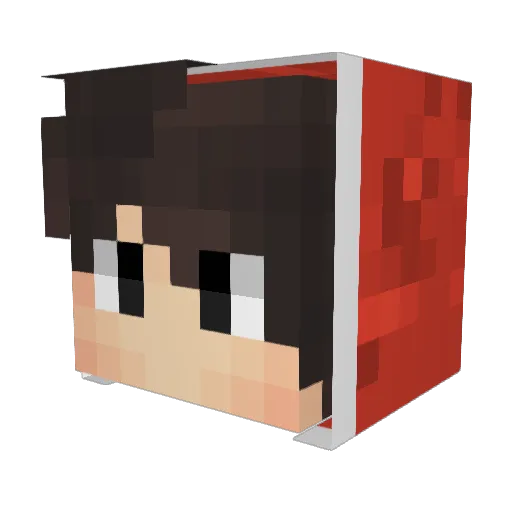 Blitzwolf5 Minecraft avatar head, 3D render