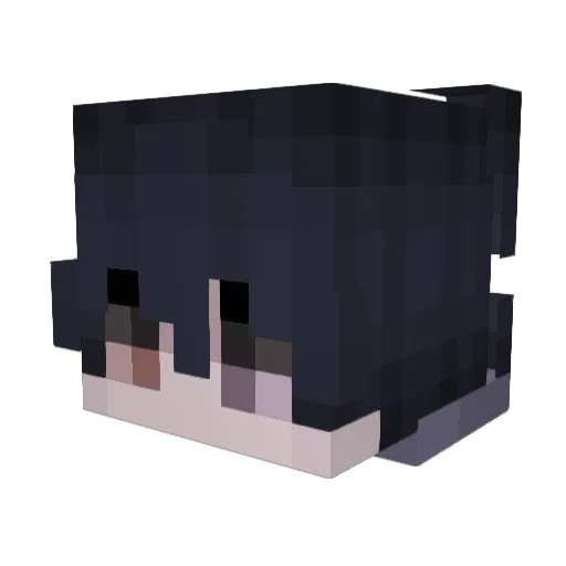 BlitzzSZN Minecraft avatar head, 3D render