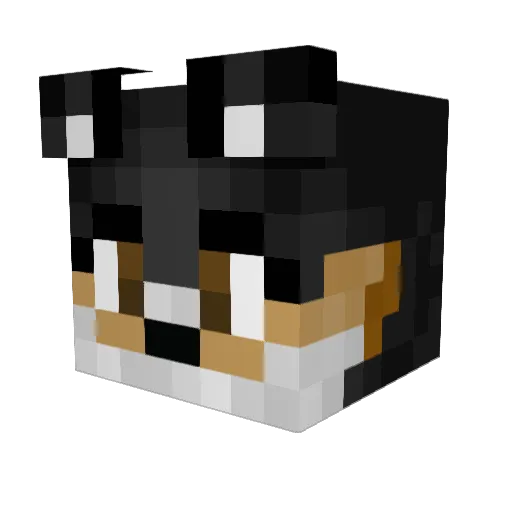 Blix_Fox Minecraft avatar head, 3D render
