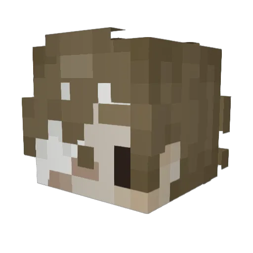 Blixnoe Minecraft avatar head, 3D render