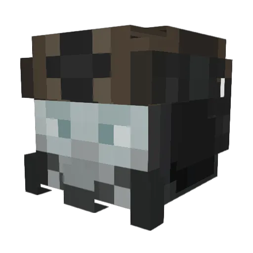 Blixten3008 Minecraft avatar head, 3D render