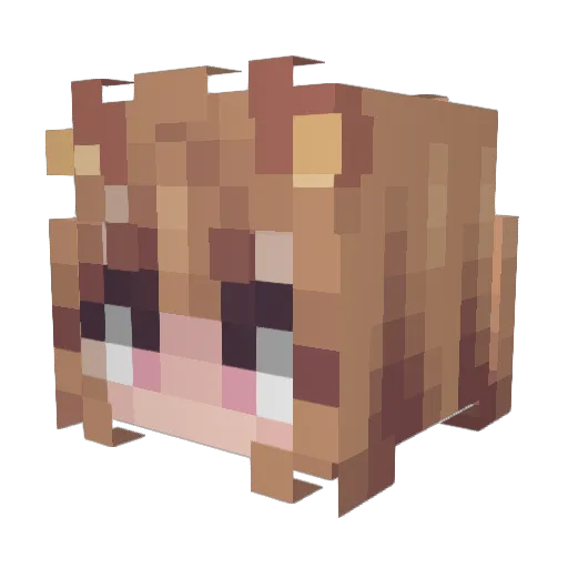 Blixynia Minecraft avatar head, 3D render