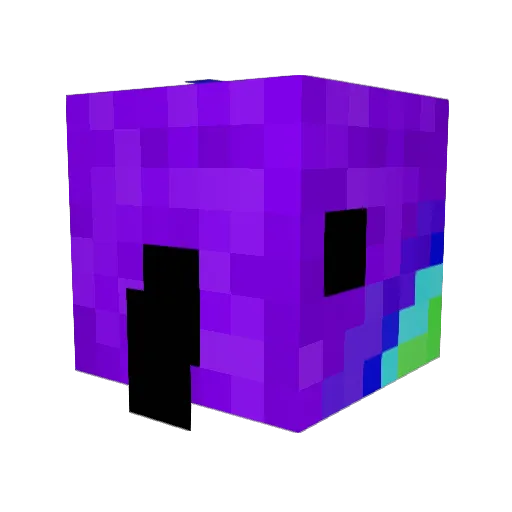 Blizz4rdbl4st Minecraft avatar head, 3D render
