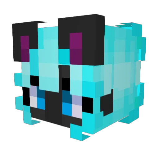 BlizzardGuy75 Minecraft avatar head, 3D render