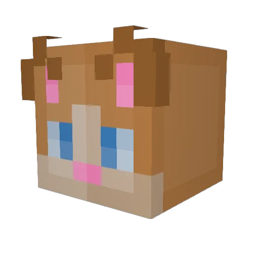 BlizzardHaze Minecraft avatar head, 3D render
