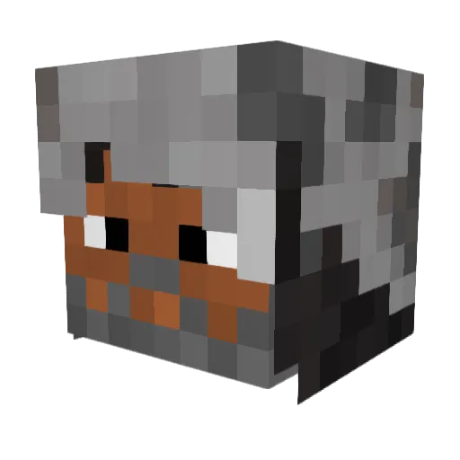 BlizzardKing3112 Minecraft avatar head, 3D render