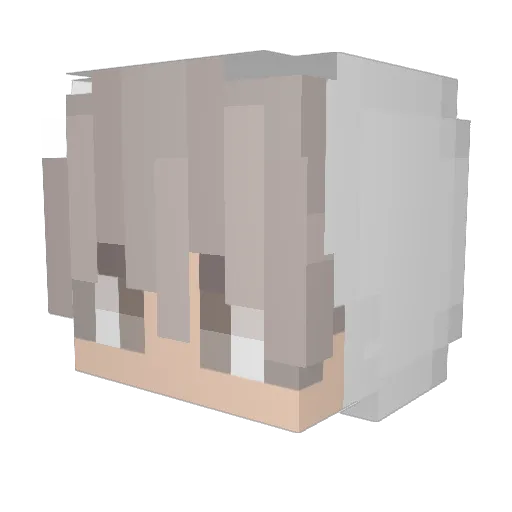 Blizzardelk Minecraft avatar head, 3D render