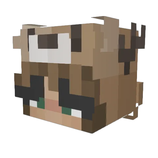 BlizzyKitty12 Minecraft avatar head, 3D render
