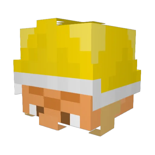 BlkGolem Minecraft avatar head, 3D render
