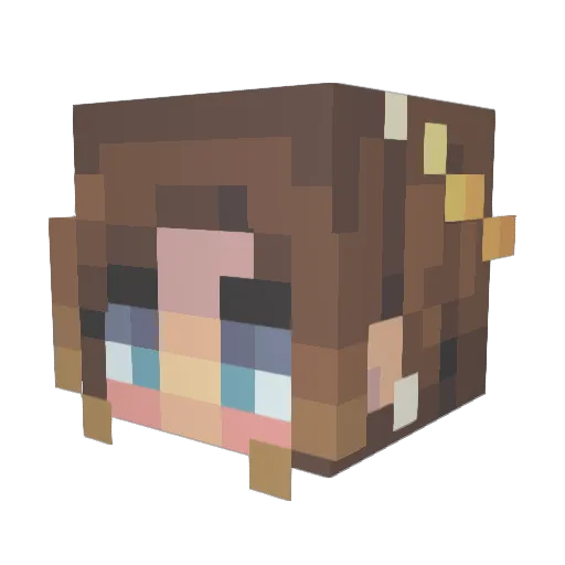 BlkandBlu14 Minecraft avatar head, 3D render