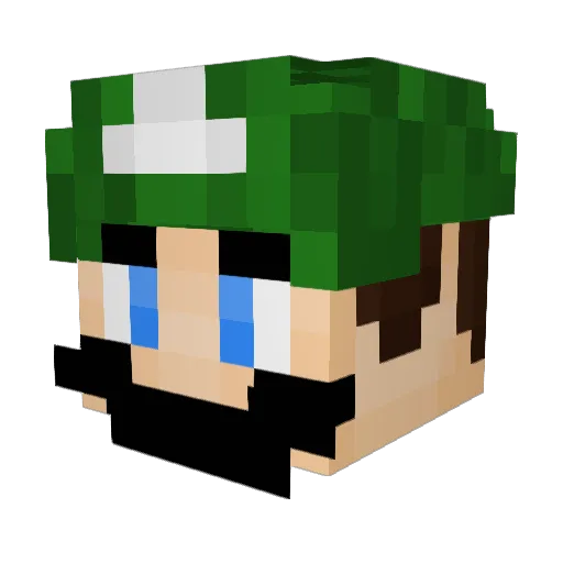 Bllowee Minecraft avatar head, 3D render