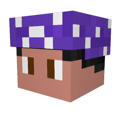 Blluu Minecraft avatar head, 3D render