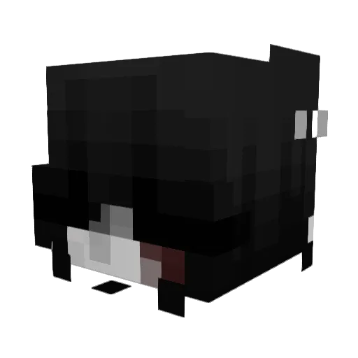 BloDim12 Minecraft avatar head, 3D render