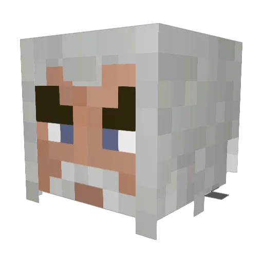 BloRav Minecraft avatar head, 3D render