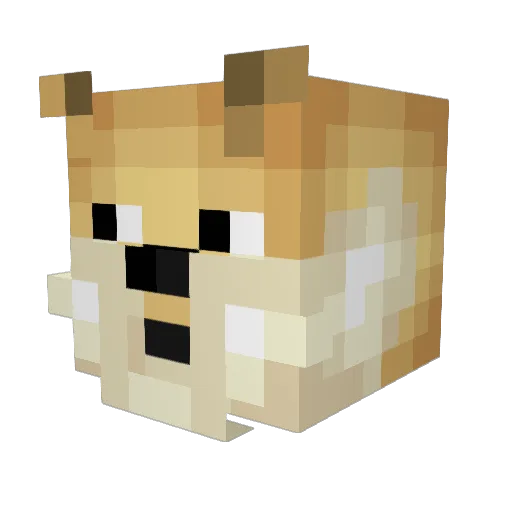Blob65 Minecraft avatar head, 3D render